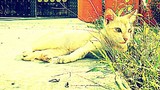 by gaurabjyoti das