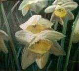 by Judy Petett