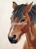 by Sarah Goodrich