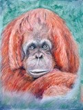 by Amanda Martin