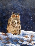 by tami  booher
