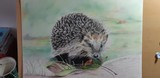 by Debi Ware