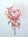 by Dana Koffenberger