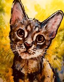 by Richard  OMalley 