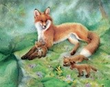 by Tracy Herrmann
