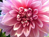 by cathy Gemkow