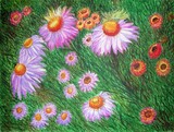 by Surekha  Rao