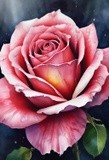 by Mihaela B