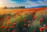by Mihaela B