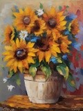 by Mihaela B