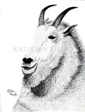 by Kathleen Reeder