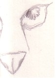 by  