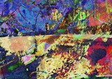 by Emilio B. Campo-Diaz