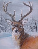 by Merideth Van Every