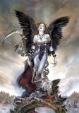 by Tom Fleming