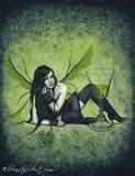 by Rebecca Sinz
