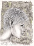 by Rebecca Sinz