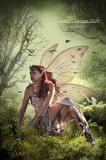 by Susan Carranza