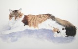 by Bev                  Chudey