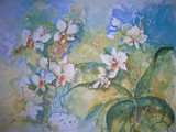 by Brigitte  Hintner