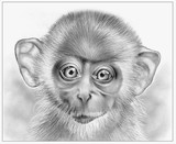 by Greg Joens