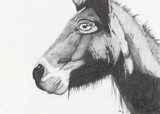 by MaKayla Songer