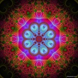 by Orchid Mandala