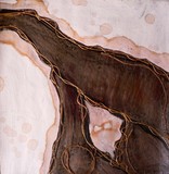 by Cassandra-lyn Palmer