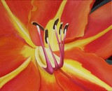 by Colleen Williams