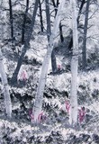 by diane  jennings