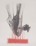 by camilo  villalvilla