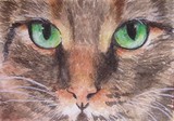 by Joanne Simpson-Connor