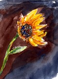 by Marilyn Barton