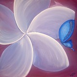 by Suzana Dancks