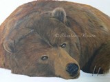 by Sharlene Bruce