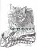 by JoAnna Bova