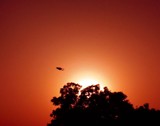 by Rohit Shrivastava