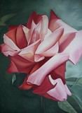 by Sally Holt