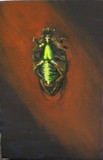 by Jeanie Chadwick