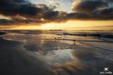 by Jim Crotty