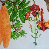 by Meena Subramaniam