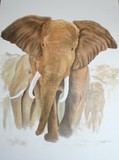by Lori Azzolino
