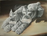 by Laura Glass