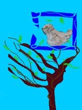 by Shakeh Sarookhanian