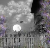 by Deborah Ingram