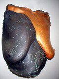 by Renee Weekley