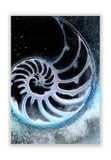 by Kathy Morton-Stanion