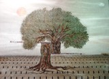 by announi abdelali