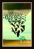 by announi abdelali