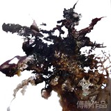 by Jing  Fu